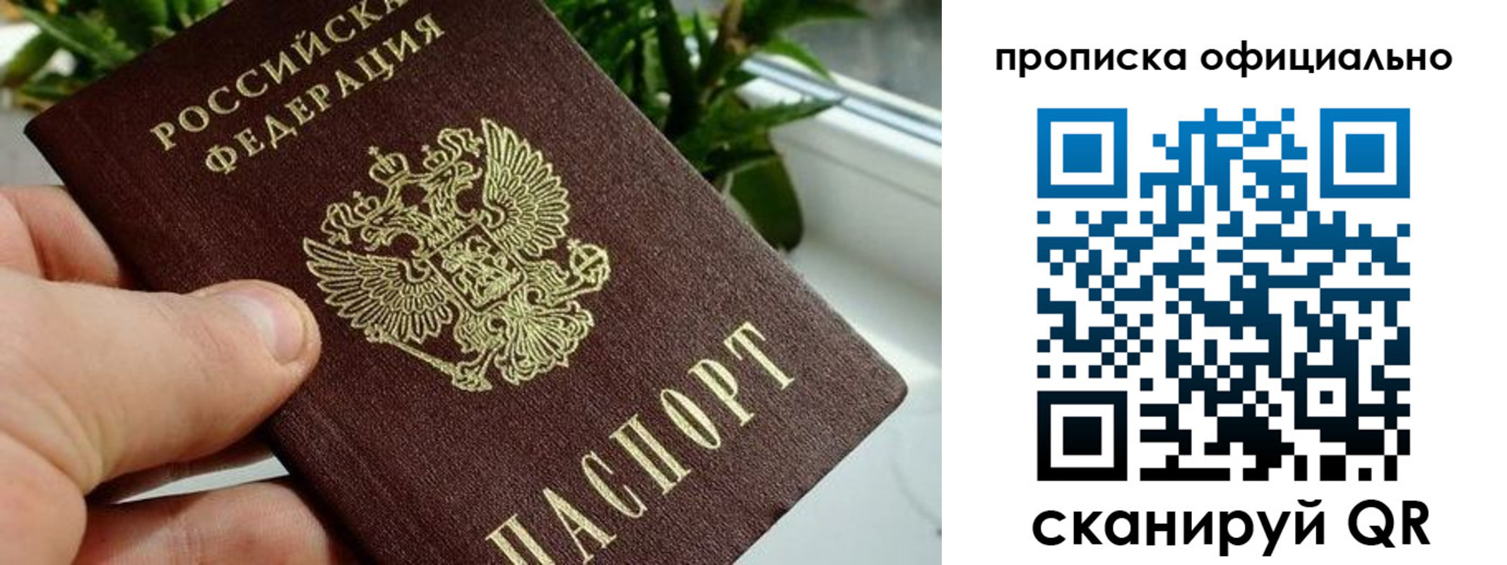 прописка поиск в Елизово